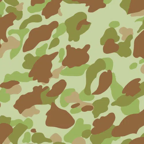 Frogskin Camouflage