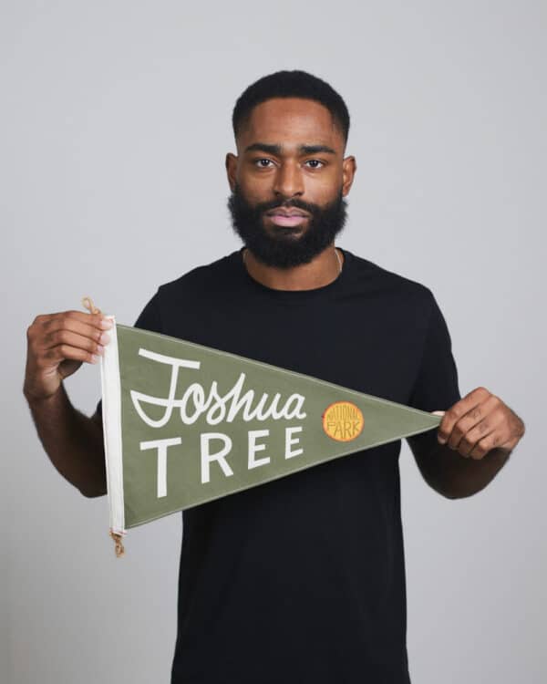 Slightly Choppy Joshua Tree Flag
